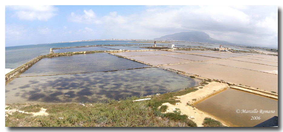 Un''Arctia villica alla festa delle Oasi WWF a Trapani